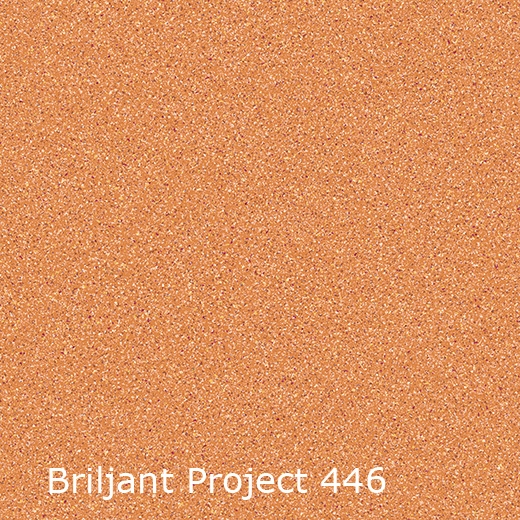Briljant Project-446